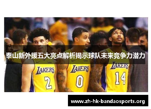 泰山新外援五大亮点解析揭示球队未来竞争力潜力