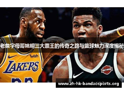 老詹字母哥姚明三大票王的传奇之路与篮球魅力深度揭秘 老詹字母哥姚明三大票王的传奇之路与篮球魅力深度揭秘