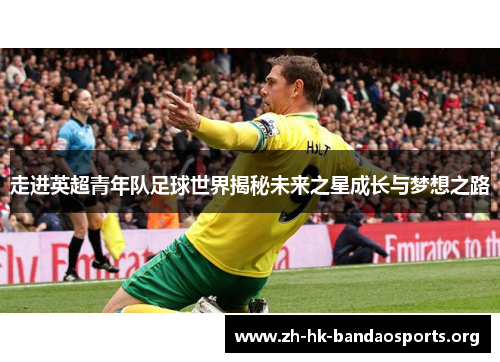 走进英超青年队足球世界揭秘未来之星成长与梦想之路 走进英超青年队足球世界揭秘未来之星成长与梦想之路