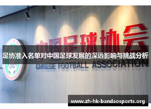 足协准入名单对中国足球发展的深远影响与挑战分析 足协准入名单对中国足球发展的深远影响与挑战分析