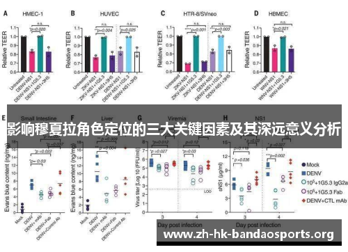 影响穆夏拉角色定位的三大关键因素及其深远意义分析 影响穆夏拉角色定位的三大关键因素及其深远意义分析